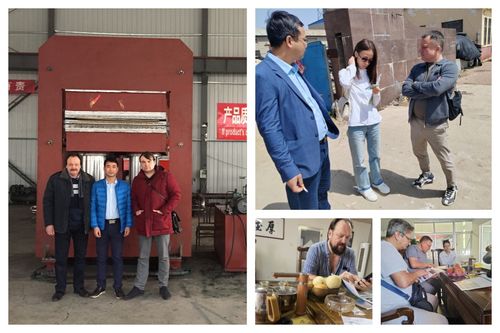 European customers purchased rubber molding vulcanizing machine