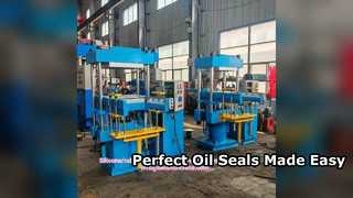 Rubber Oil Seal molding Press Machine High Quality Seals